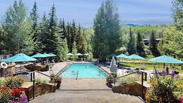 Piscine chauffée