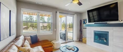 TV, fireplace, computer monitors