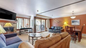 TV, fireplace, books