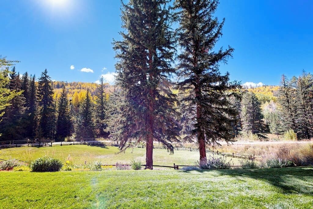 A grassy field with a large evergreen tree in the foreground, surrounded by a wooden fence and a variety of trees in the background.