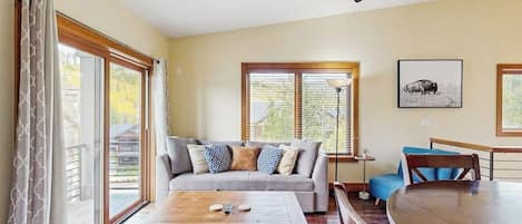 TV, fireplace, books