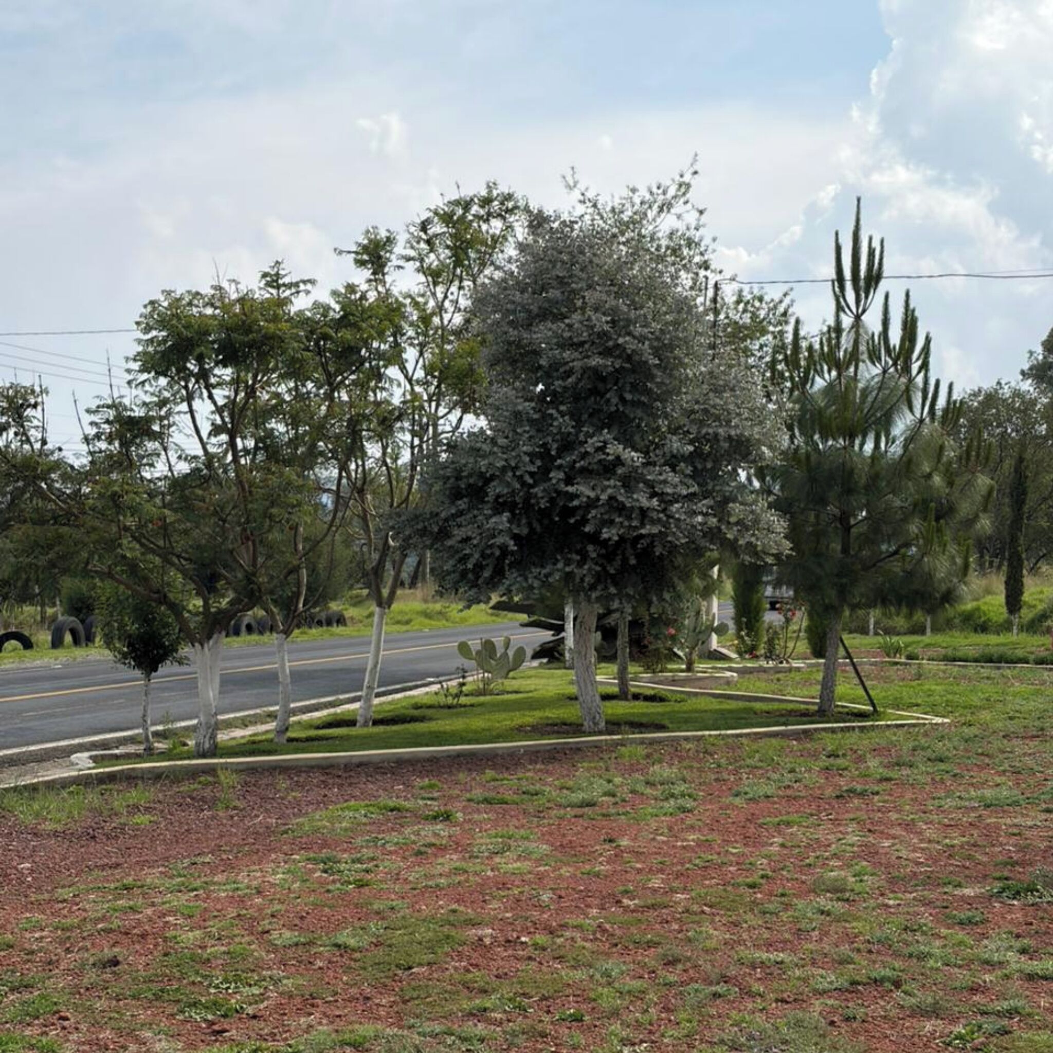 Área da propriedade