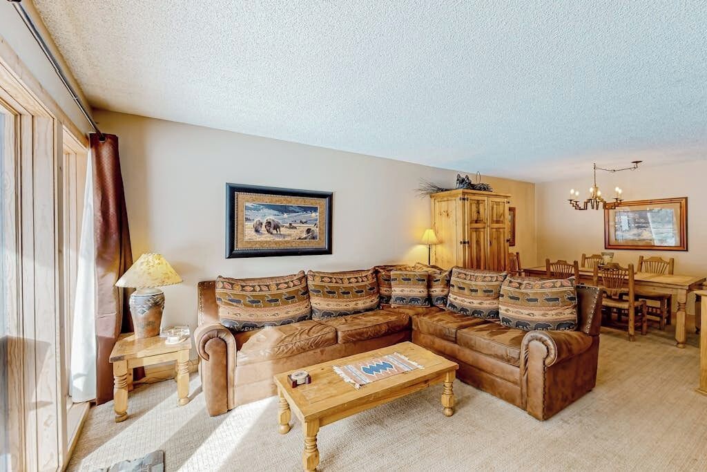 TV, fireplace, DVD player, books