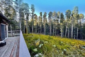 A wooden deck with a glass enclosure, surrounded by a forested area with tall trees. - Dog-friendly home with large deck, hot tub, woodstove, W/D, & serene setting (Fairplay)