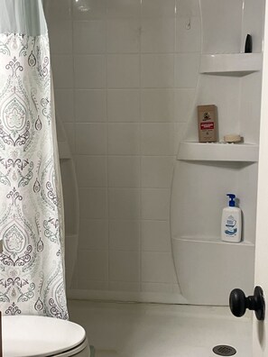 Chuveiro, toalhas de banho, sabonete, papel higiênico
