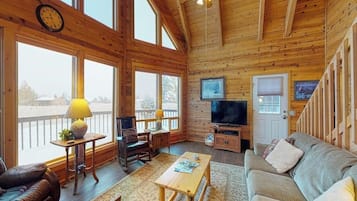 TV, DVD player, books