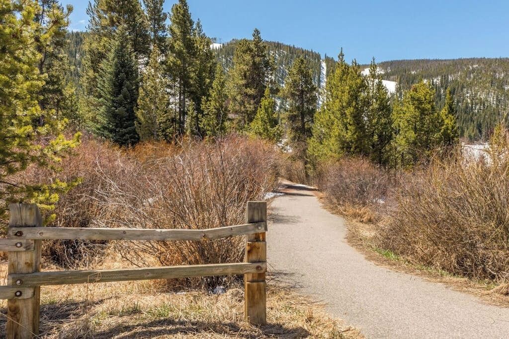 A paved path with a wooden fence on the left, surrounded by dense coniferous trees and shrubs.