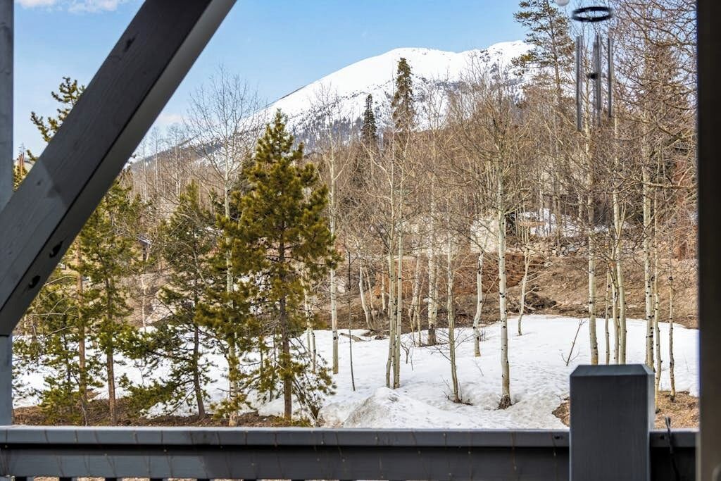 Un paysage enneigé, avec des arbres et une montagne en arrière-plan.