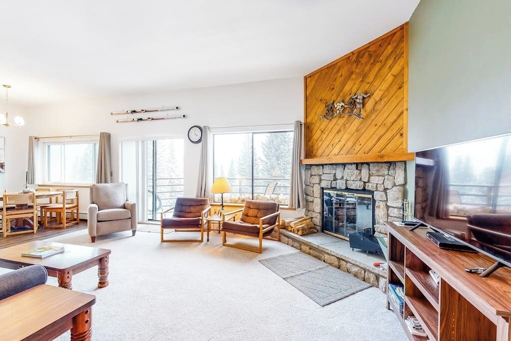 TV, fireplace, books