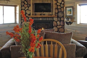 A cozy room with a stone fireplace, a television mounted above it, and a window with curtains. - Remodeled, Mountain View Cabin w/ Fireplace, Firepit & WiFi - Dogs Welcome (South Fork)