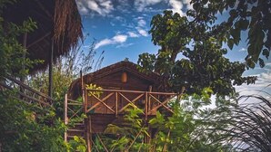 A wooden gazebo with a thatched roof, surrounded by lush greenery and a gravel path leading to a wooden table and chairs. - Happy Lemon Tree Lodge (Sauraha)
