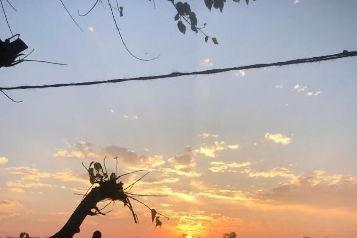 Un atardecer sobre un cuerpo de agua tranquilo, con una rama de árbol silueteada contra el cielo.