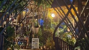 A pathway leading to a building with a sign that reads 'Welcome to the property.' - Happy Lemon Tree Lodge (Sauraha)
