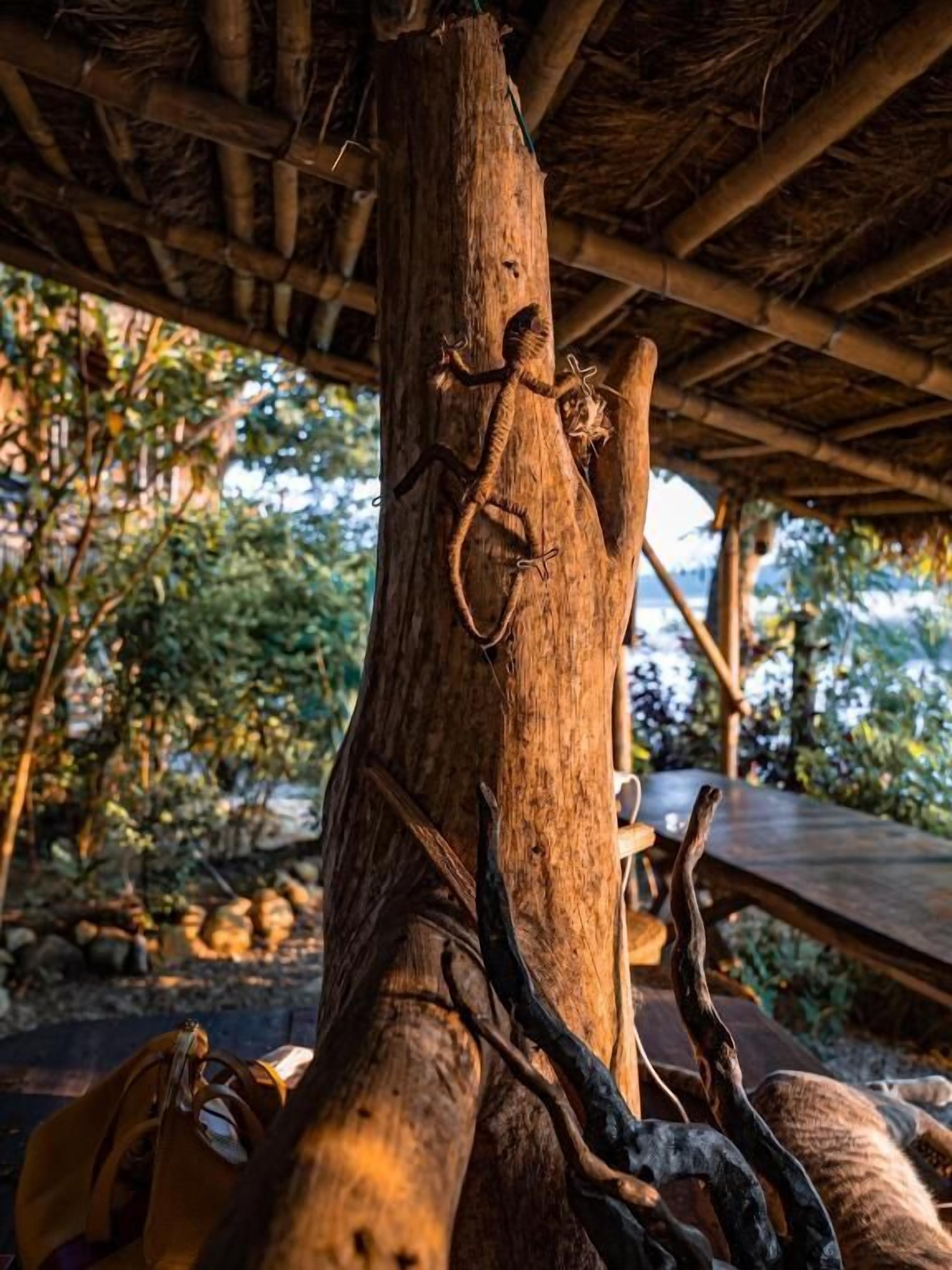 Un árbol con rostro tallado, un banco de madera y una estructura con techo de paja.