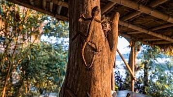 Un árbol con rostro tallado, un banco de madera y una estructura con techo de paja.
