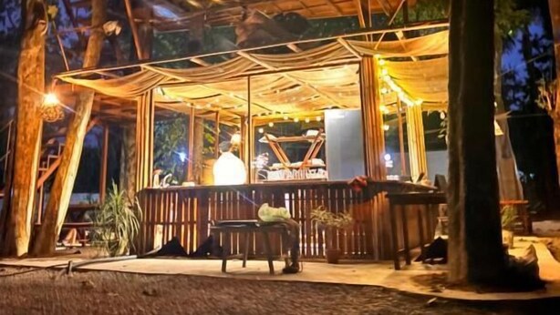 A covered outdoor seating area with a wooden structure, benches, and potted plants. - Happy Lemon Tree Lodge (Sauraha)