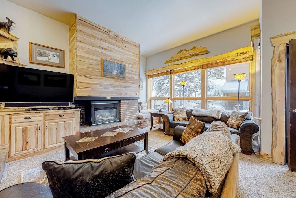 TV, fireplace, DVD player