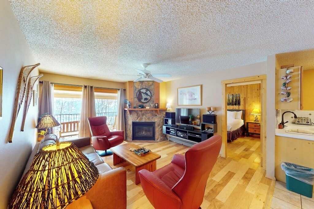 TV, fireplace, DVD player, books