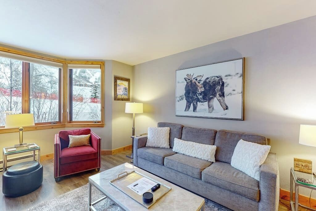 TV, fireplace, computer monitors
