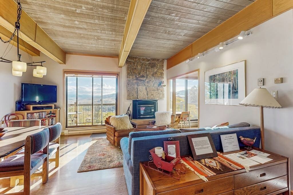 TV, fireplace, DVD player, books