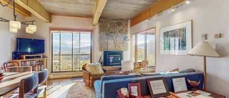 TV, fireplace, DVD player, books