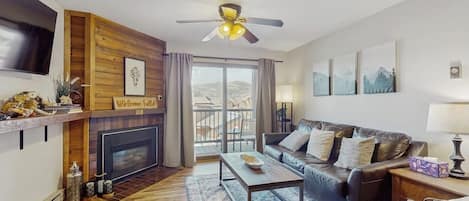 TV, fireplace, books, video library