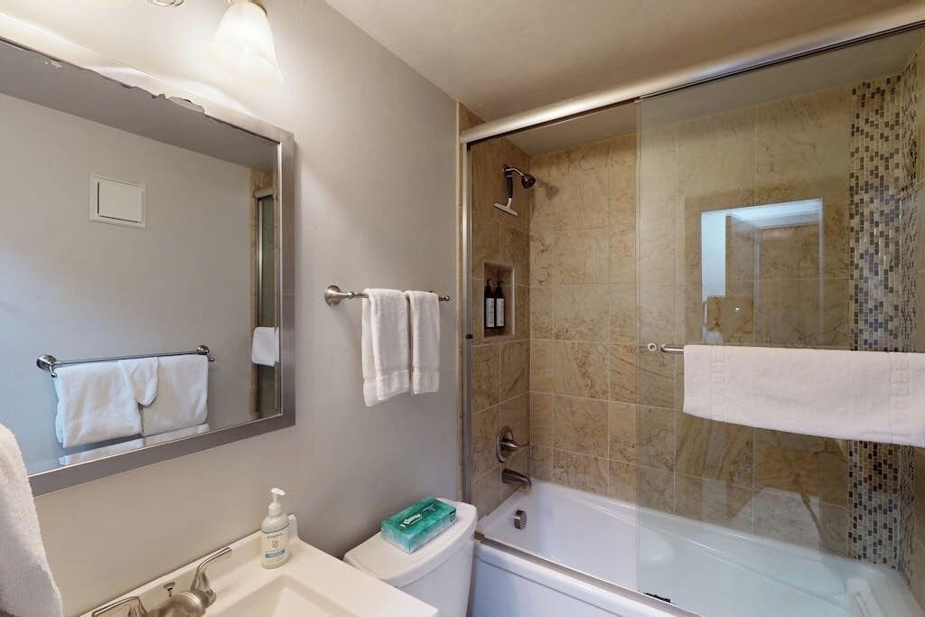 Shower, hair dryer, towels