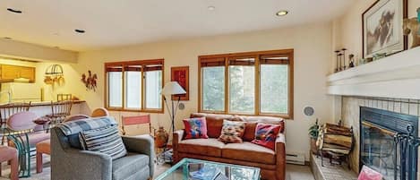 TV, fireplace, DVD player, books