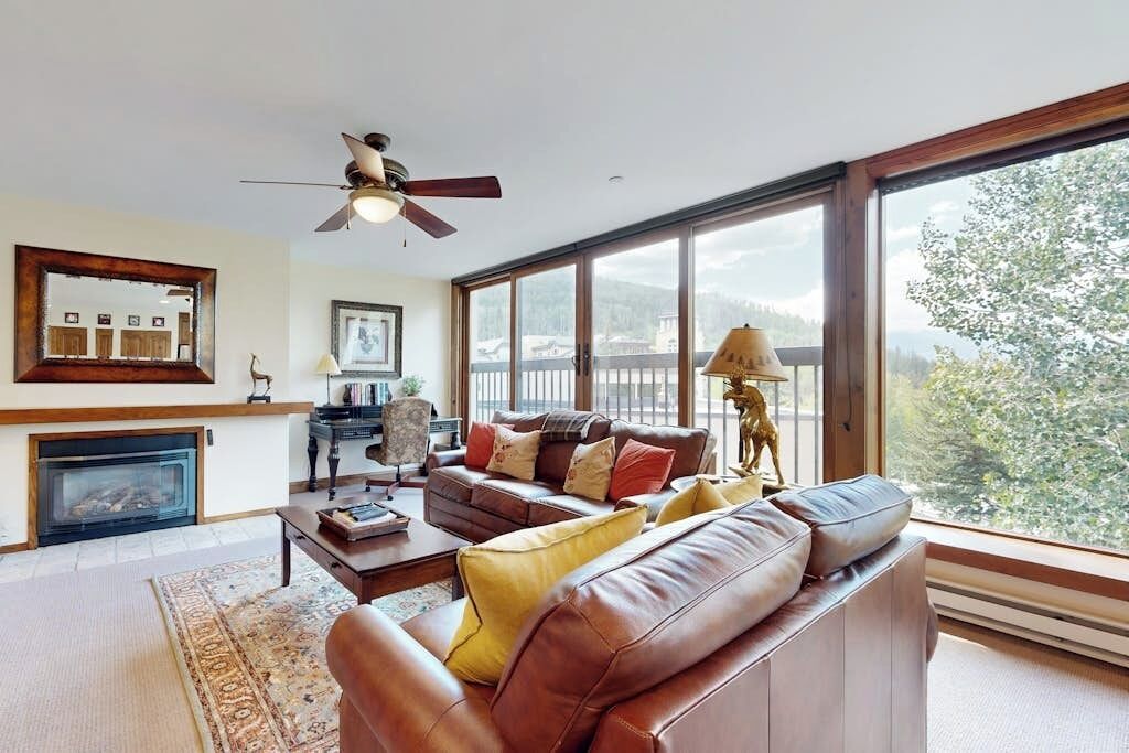 TV, fireplace, DVD player, books