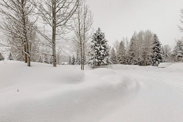 A snowy landscape with trees and a snow-covered ground. - Fallridge #317 condo with pool and hot tub, next to Vail Golf Club (Vail)