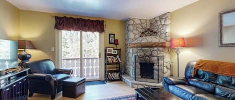 TV, fireplace, DVD player, books
