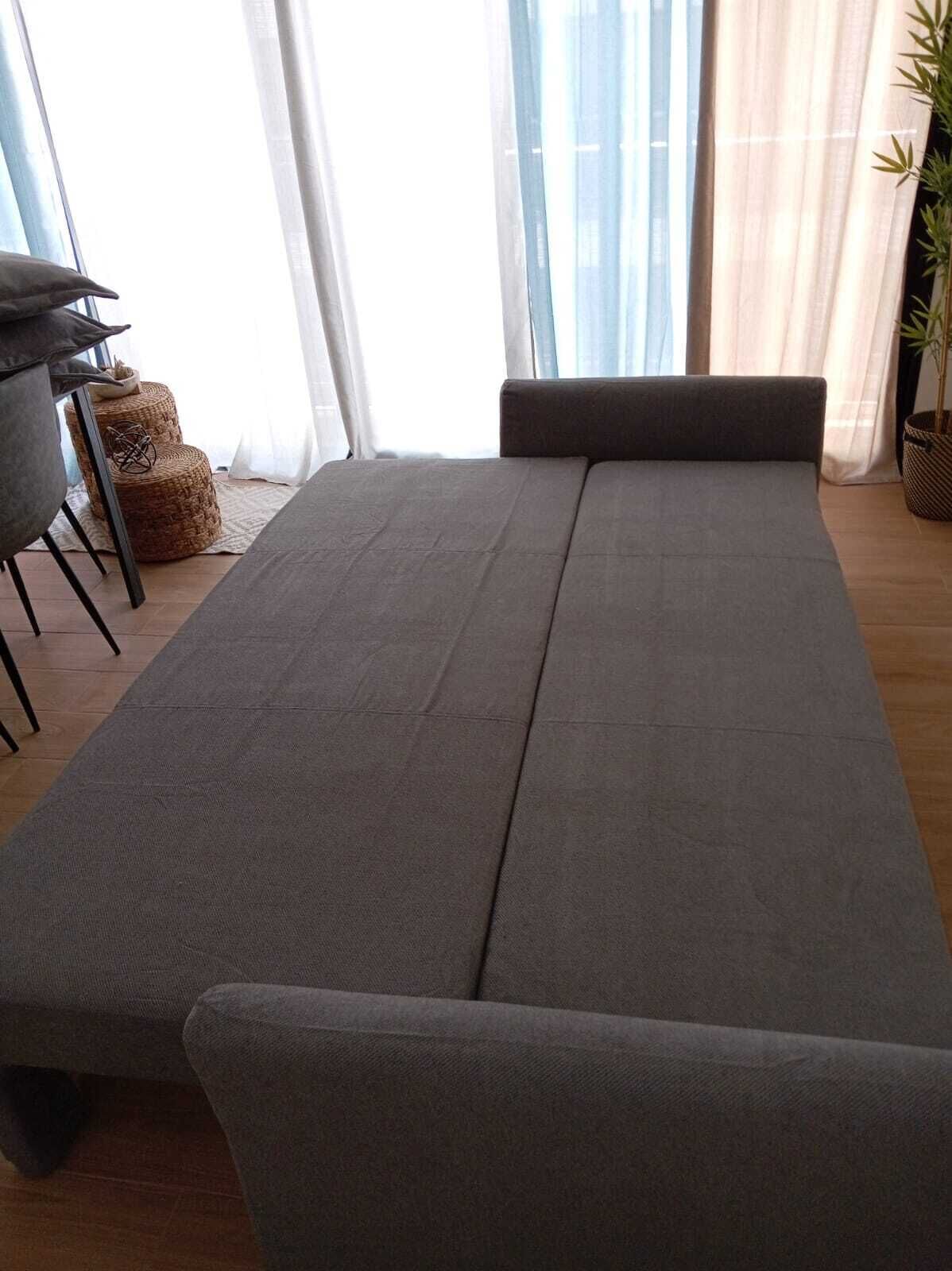 Ein Zimmer mit Schlafsofa, Sessel, kleinem Tisch und einem Blumentopf.