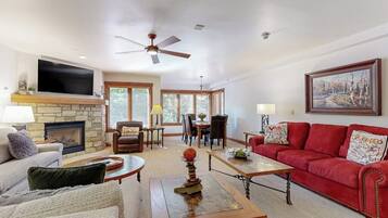 Smart TV, fireplace, books