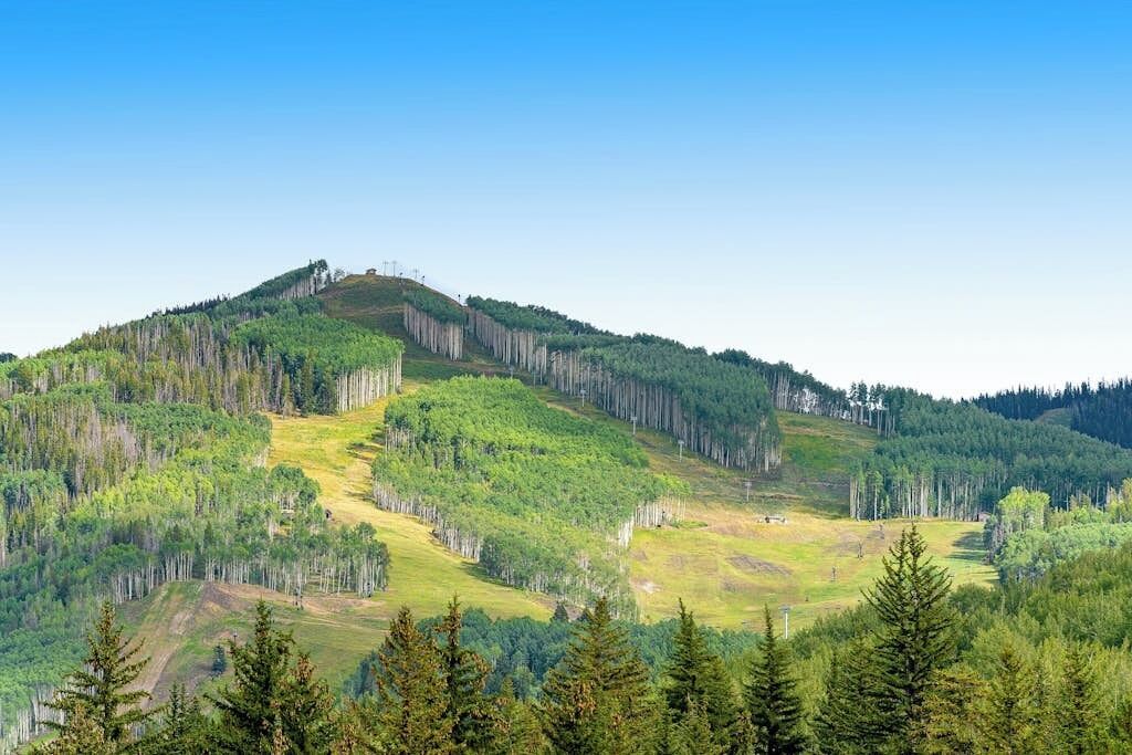 Un paysage montagneux, avec de vastes forêts et un ciel dégagé.