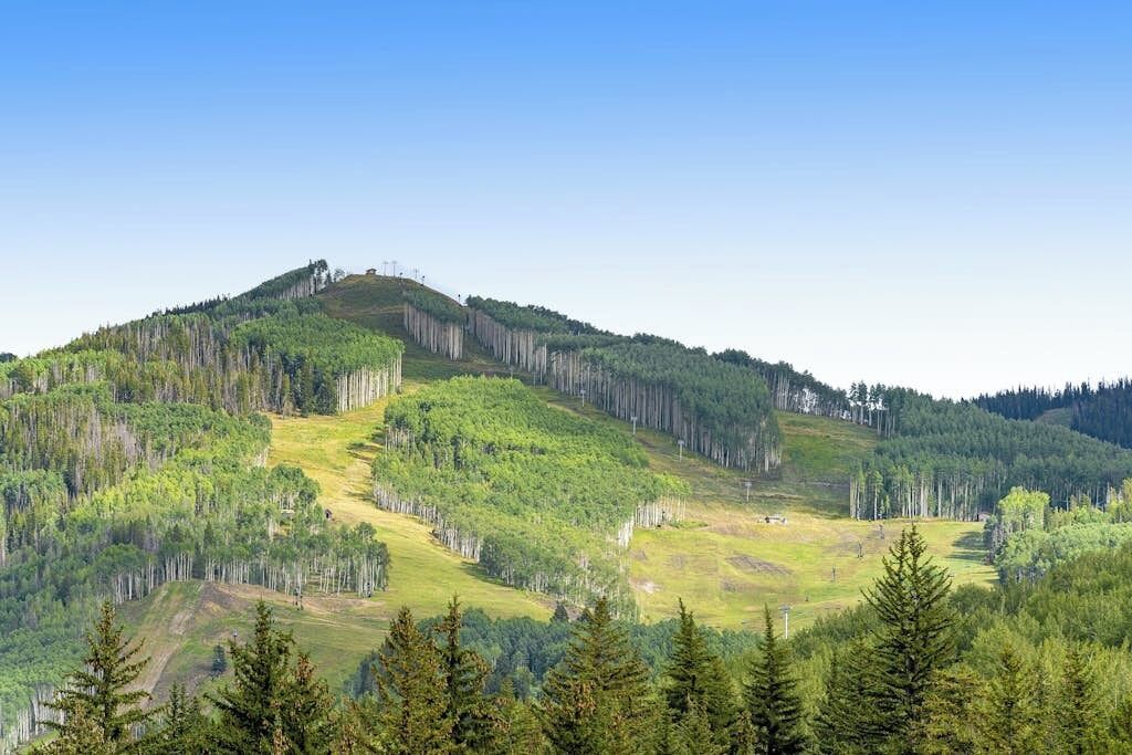 A mountainous landscape with dense forests and a clear sky.