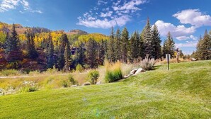 A grassy field with trees and a clear sky. - Ski-in/out, mountain view studio w/ high-speed WiFi & shared pool, hot tubs, W/D (Vail)