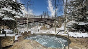 Un bain à remous doté d’une balustrade en métal, entouré d’arbres couverts de neige et bordé d’un chemin de pierres.