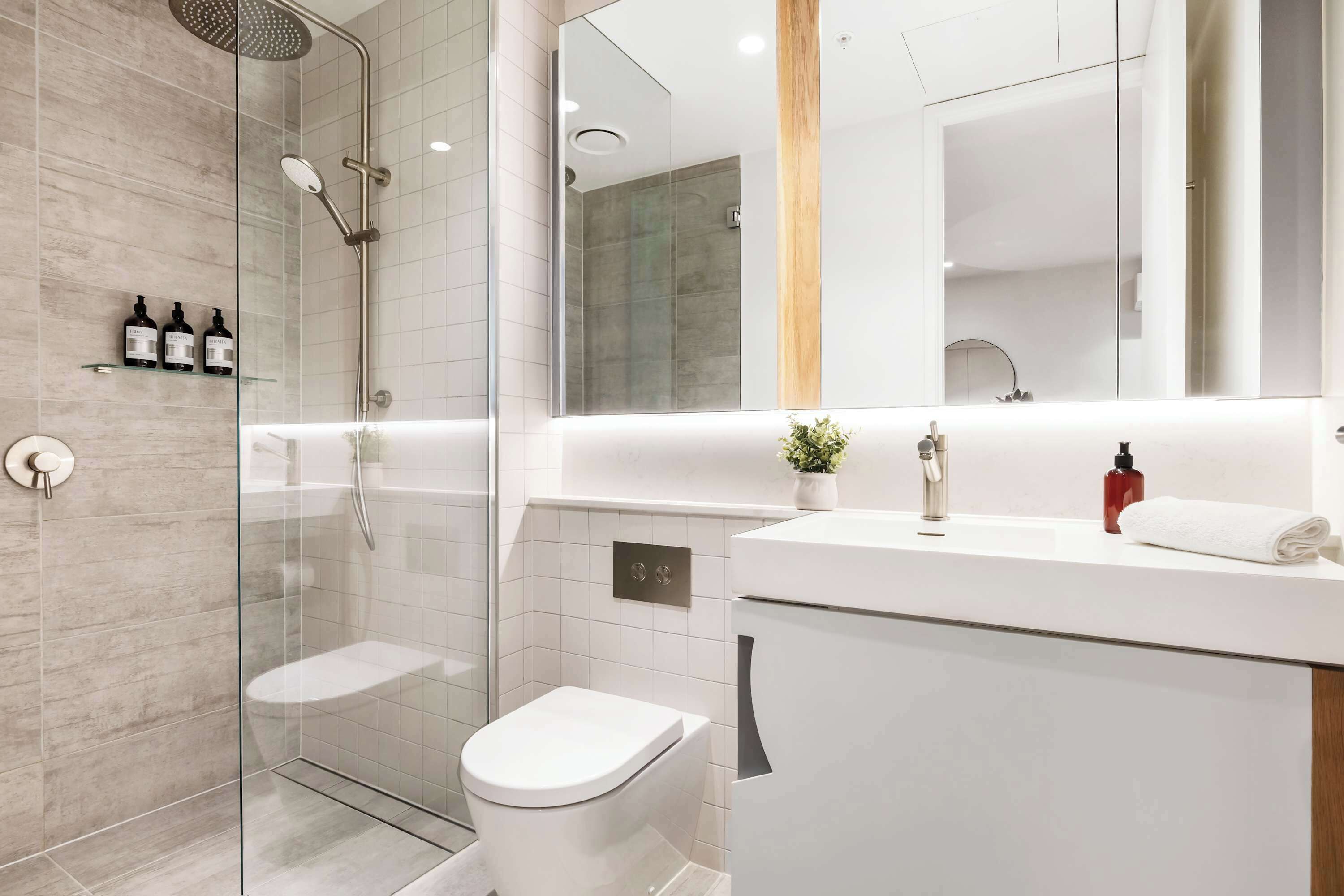 Une salle de bain moderne avec une douche à parois de verre, des toilettes, un lavabo avec un miroir et une petite plante posée sur le comptoir.