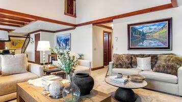 Smart TV, fireplace, books