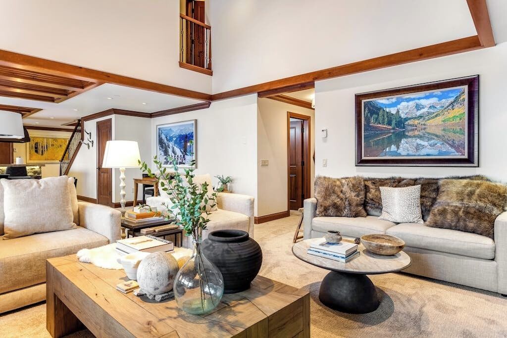 TV, fireplace, books