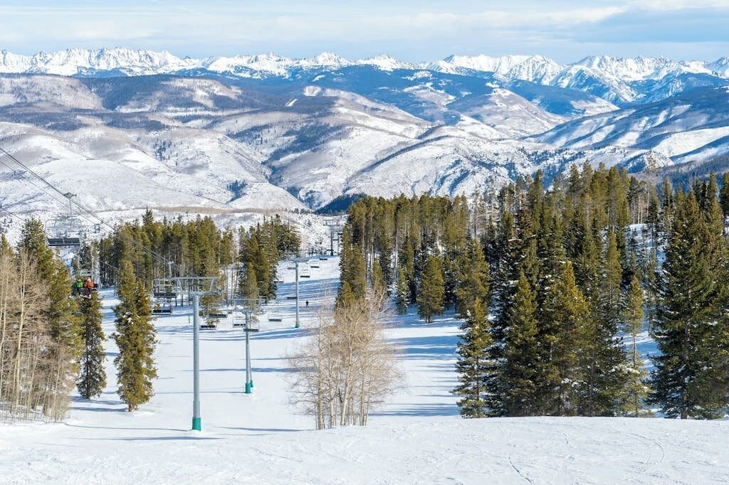 Paesaggio montano innevato con una seggiovia e alberi.