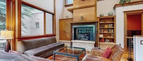 TV, fireplace, DVD player, books