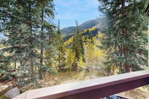 Blick vom Balkon mit Holzgeländer auf eine bewaldete Landschaft mit Nadel- und Laubwäldern, im Hintergrund ein Berg.