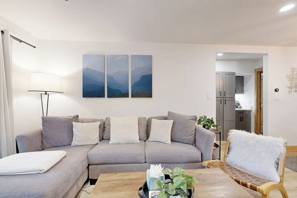 A living room with a grey sofa, a coffee table with a plant, and a painting of mountains on the wall.