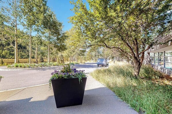 A paved pathway lined with trees and a planter with flowers. - Charming condo with resort amenities, sweeping views, & wood-burning fireplace (Vail)