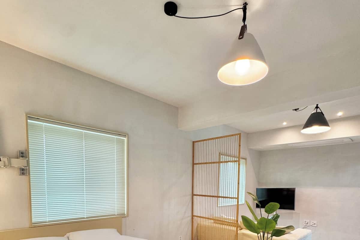 Une chambre moderne avec deux lits, une grande fenêtre avec stores, un téléviseur et une plante.