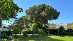 Property grounds - Aria di Mare - Cottage (Capoliveri)