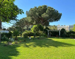 Property grounds - Aria di Mare - Cottage (Capoliveri)