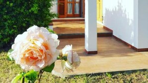 A house with a covered porch, a door with glass panels, and a garden with a rose. - Aria di Mare - Cottage (Capoliveri)