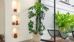 Un interior moderno con una planta grande en maceta, una silla y estanterías con jarrones.